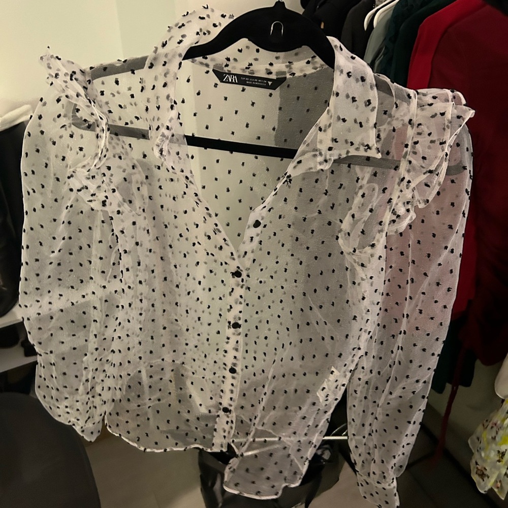 Zara Sheer Organza Blouse with Ruffle Detailing